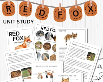 Red Fox Unit Study Homeschool Fall Activities Red Fox Anatomy & Life Cycle Red Fox Poster and Flash Cards Nature Study Journal Preschool