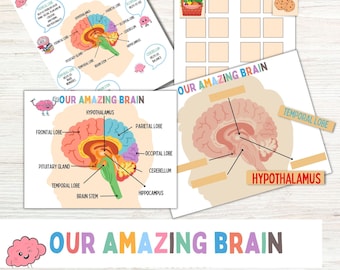 Homeschool Printable Bundle Brain Anatomy Worksheets Science Prints Montessori Learning Kindergarten Pre-K Prints Learning Science Bundle