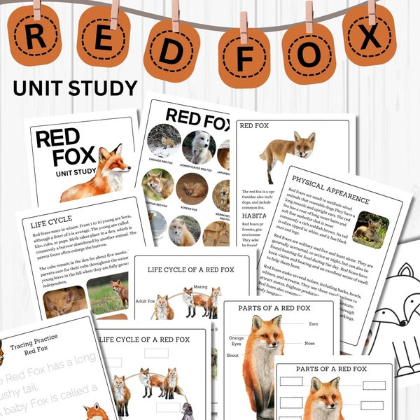 Red Fox Unit Study Homeschool Fall Activities Red Fox Anatomy & Life Cycle Red Fox Poster and Flash Cards Nature Study Journal Preschool