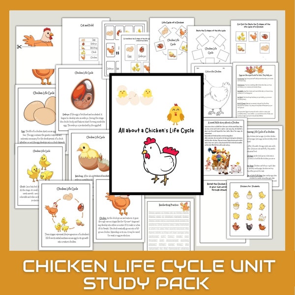 Chicken Unit Study Homeschool Summer Activities chicken and chick Life Cycle & Anatomy Learning Bundle Nature Study Science Homeschooling