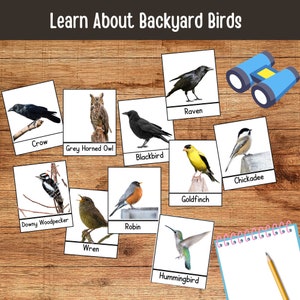 Printable Backyard Birds Unit Study Bird Watching Journal Kids ...