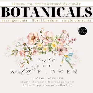 Clipart de flores silvestres, flores silvestres en acuarela, arreglos florales con gotas y bordes en acuarela, clipart de boda, clipart prediseñado, flores silvestres