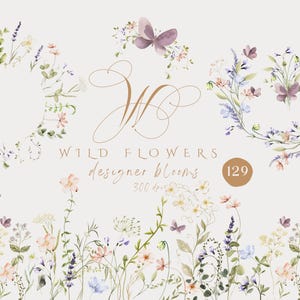 Imágenes prediseñadas de acuarela de flores silvestres de pradera, imágenes prediseñadas de flores silvestres botánicas, bordes florales, arreglos florales, imágenes prediseñadas rústicas, flores elegantes