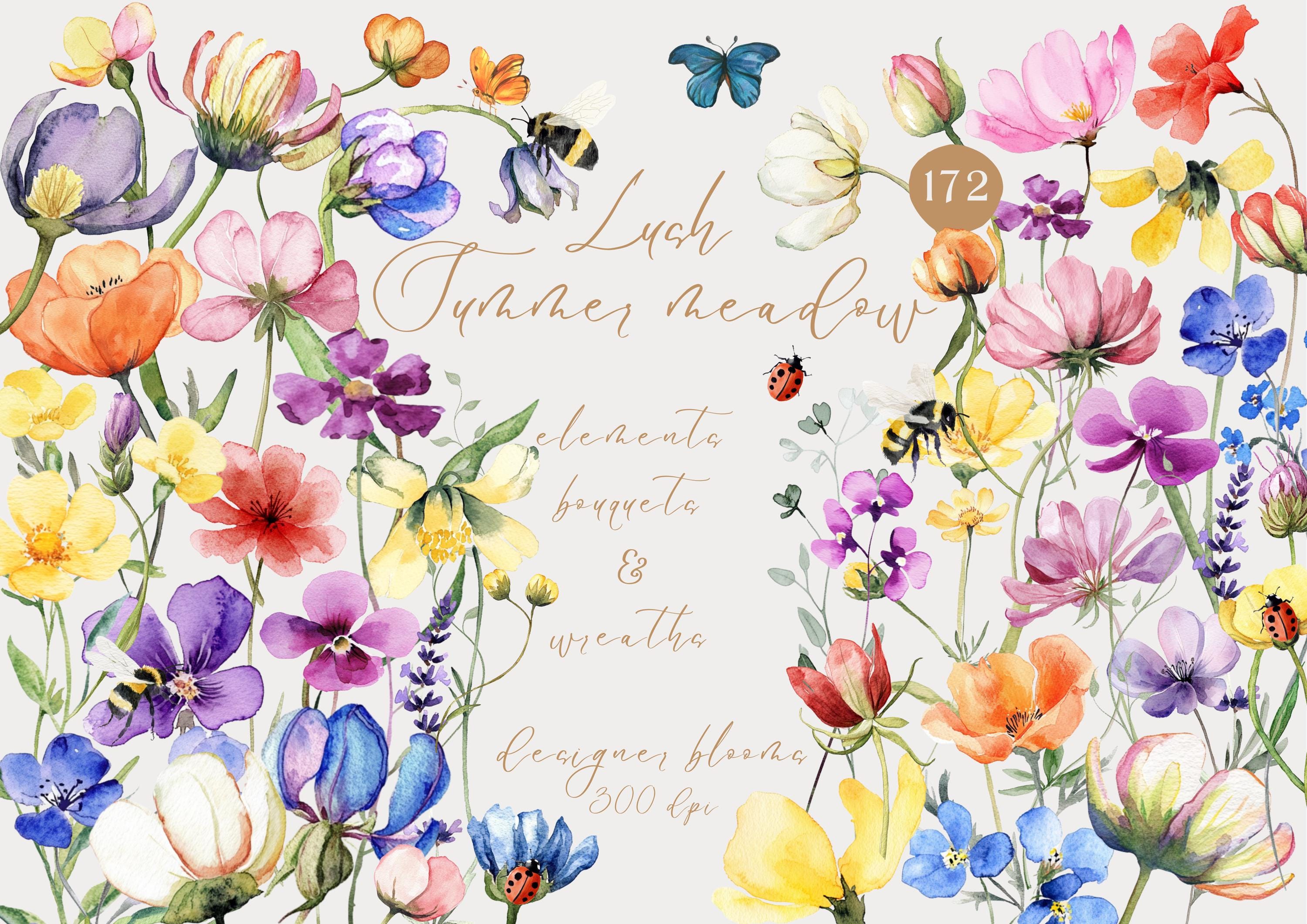 Flower Clipart Bundle Floral PNG Watercolor Summer Blooms Autumn Spring Wildflower Graphics Fall Vibrant Botanical Illustrations Birth Month