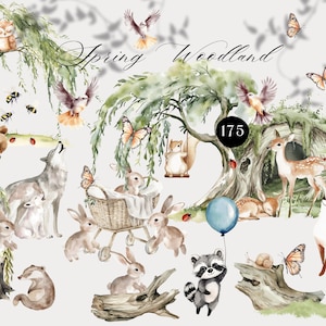 Clipart animaux de la forêt, aquarelle printemps animaux de la forêt PNG, bébés animaux de la forêt, clipart chambre d'enfant, bébés de la forêt, cerf ours renard raton laveur