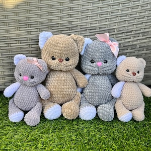 Cat family
