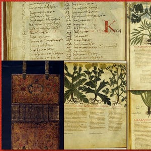 Conjunto doble seleccionado: 360 manuscritos medievales ornamentados sobre medicina herbaria de los siglos XII al XVI, enciclopedias científicas y médicas y 150 herbarios del siglo XVIII