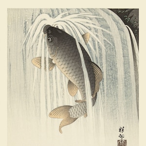 Japanse zencollectie - 150 serene watertaferelen - jaren 1800 grote Japanse houtsnededrukillustraties met vissen en water
