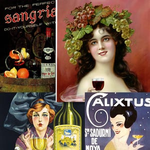 475 illustrations vintage de vins fins et de bulles