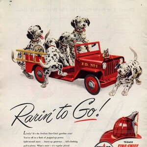 Può includere: Una pubblicità vintage per la benzina Texaco Fire-Chief con un camioncino dei pompieri rosso giocattolo con cinque dalmata. Il camioncino ha la scritta "F.D. No. 1" sul lato. La didascalia recita "Rarin' to Go!" e "Texaco Dealers in all 48 states".