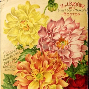 Catálogo de semillas vintage 185 e ilustraciones
