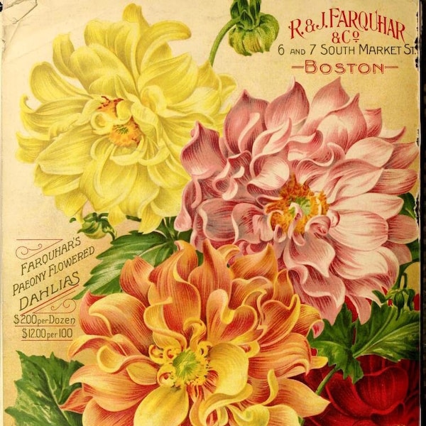 185 Vintage Seed Catalog Covers and Page Illustrations for Gardeners, Bloggers and Textilers