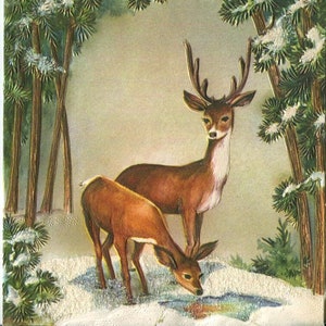 150 grandes illustrations de Noël vintage « Les amis de la forêt »