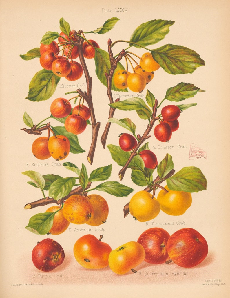 Pomology Examples Pomology -