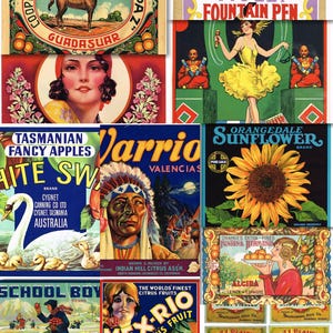875 Vintage Produktetiketten Abbildungen - Obst, Gemüse, nützliche Dinge, Kiste, Dose, Karton und Box