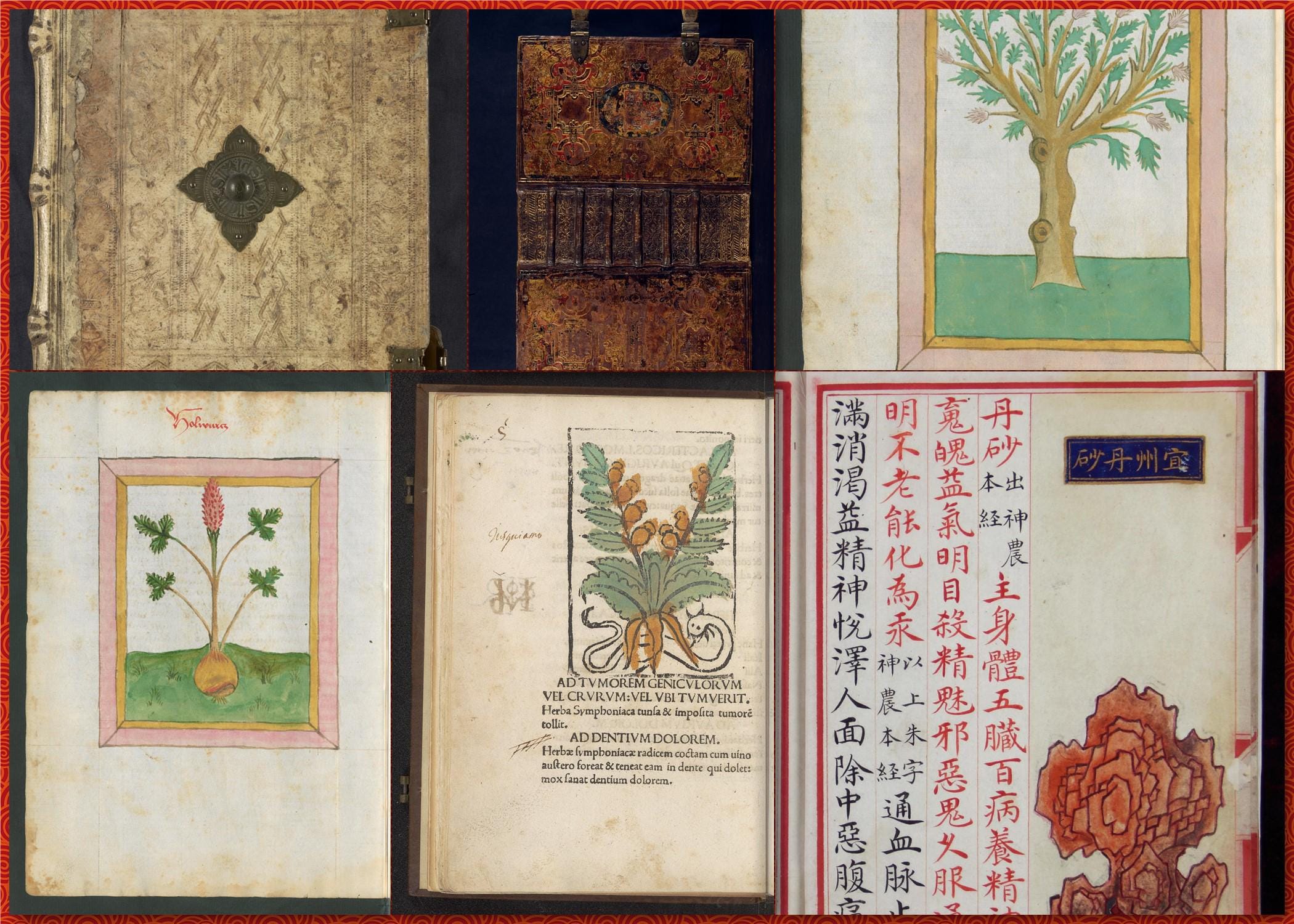 Curated Double Set-360 Ornate Medieval Herbal Medicine Manuscripts