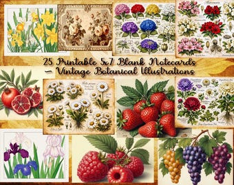 25 Printables Vintage Botanical Illustrations Blank 5x7 Notecards