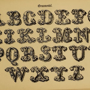 Puede incluir: Una ilustración del alfabeto, cada letra en un estilo decorativo y ornamentado. Las letras están en una fuente serif con un diseño floral, y la palabra "Ornamental" está en la parte superior.