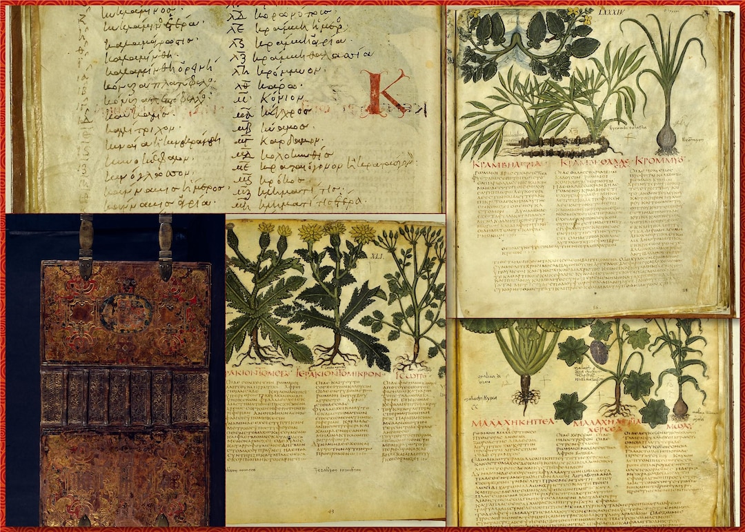 Curated Double Set-360 Ornate Medieval Herbal Medicine Manuscripts