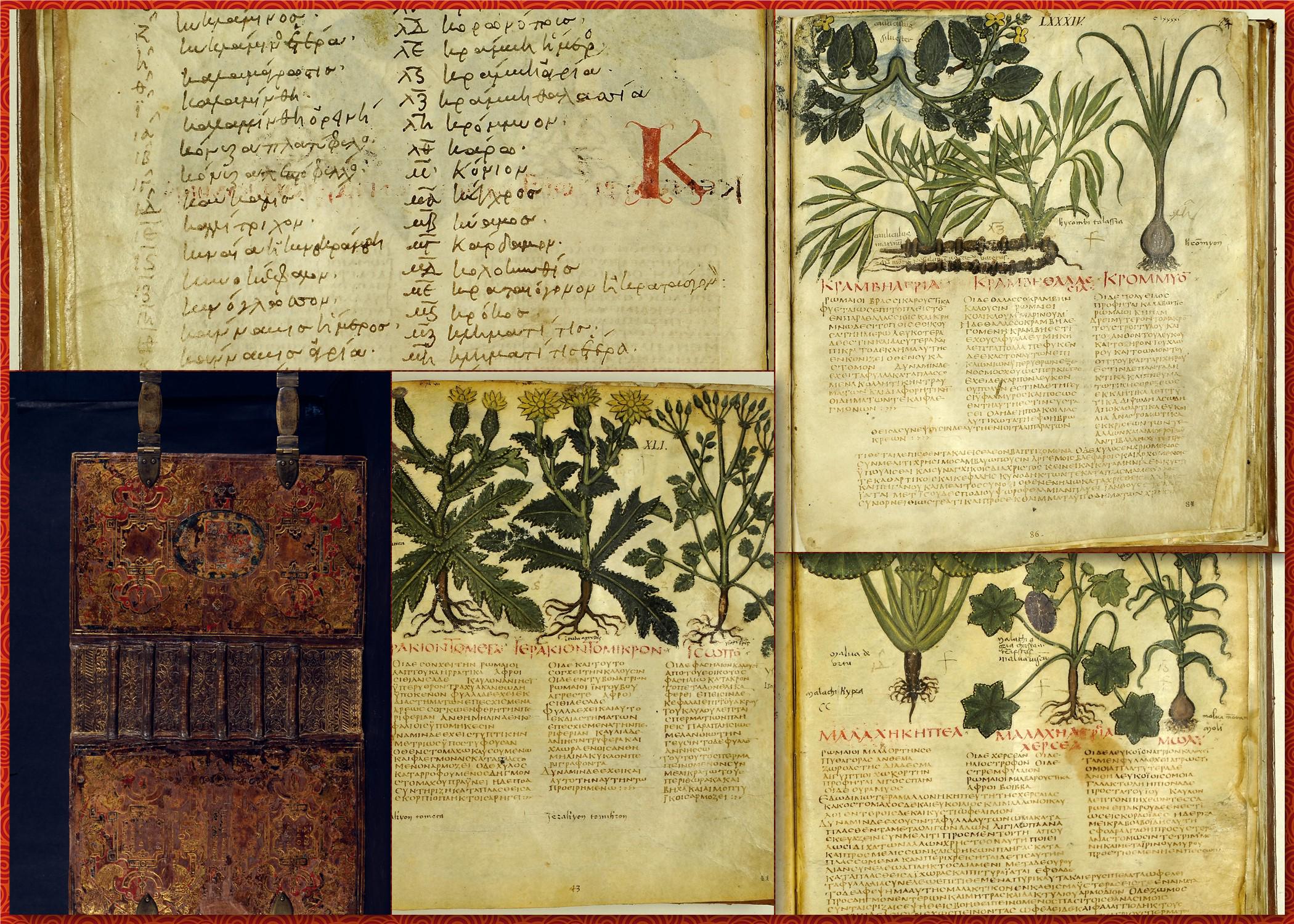 アート・デザイン・音楽 Medieval Herbal Curated Double Set-360 Ornate Medieval Herbal Medicine Manuscripts