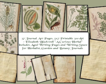 37 Printable 5x7" Journal Art Pages - Elizabeth Blackwell Illustrations from "A Curious Herbal"