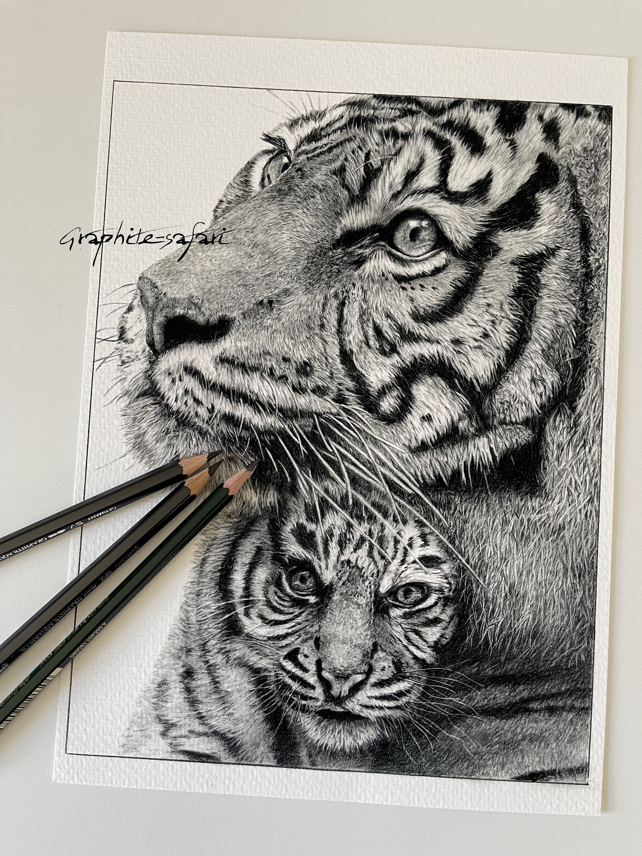 Baby Tiger Drawing by Jerry Winick | Saatchi Art