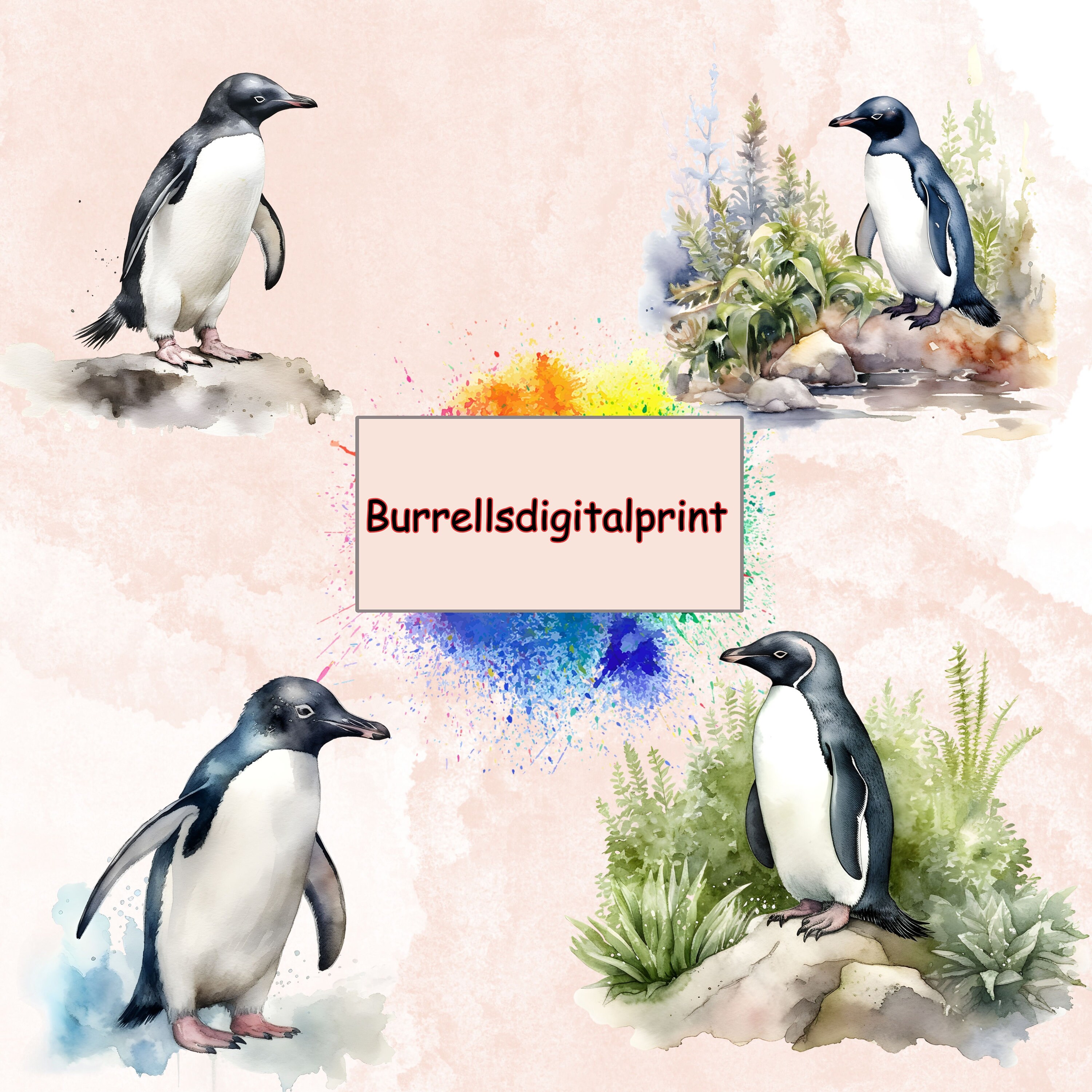 Watercolor Adelie Penguin Clipart Bundle, Digital Scrapbooking Elements ...