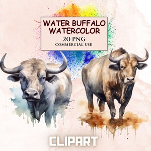 Clipart di bufalo d'acqua, clipart di acquerello, clipart di Safari, uso commerciale, illustrazione di animali, clipart di bufalo, clipart di animali africani