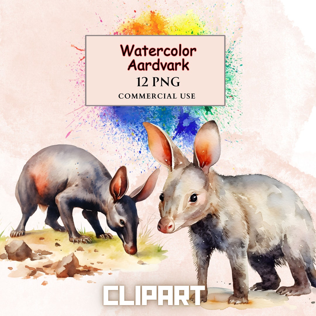 Watercolor Aardvark Clipart PNG Bundle, Digital Scrapbooking Elements ...