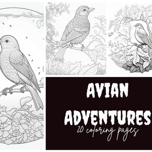 Avian Adventures: 20 Detailed and Vibrant Bird Coloring Pages for Adults