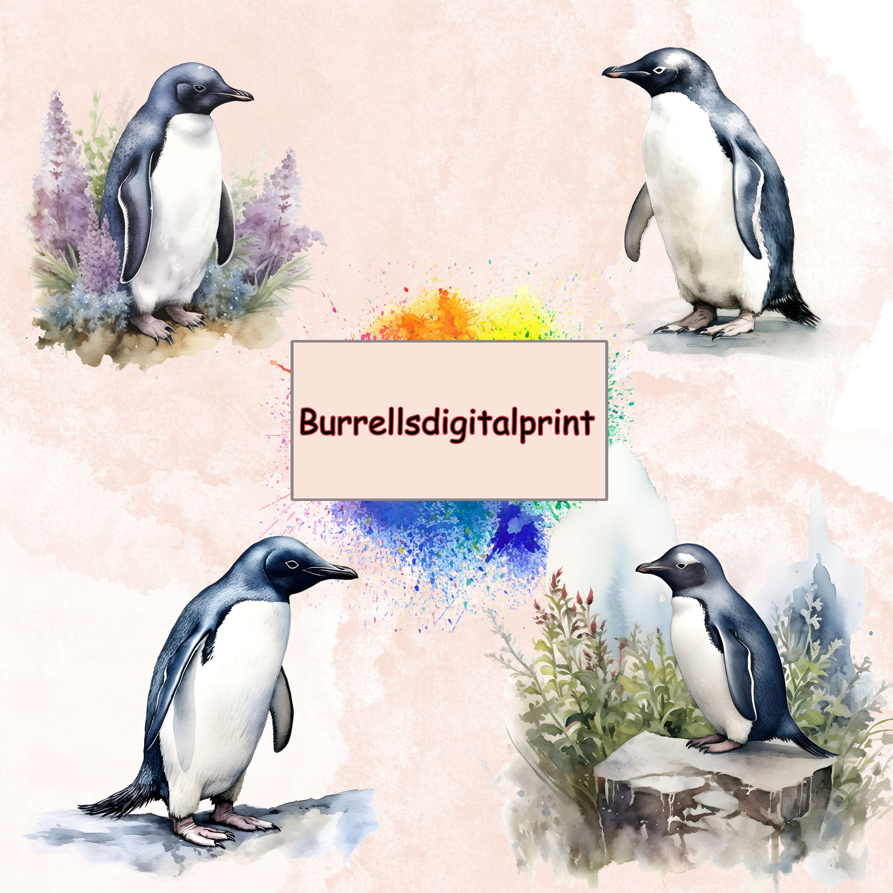 Watercolor Adelie Penguin Clipart Bundle Digital Scrapbooking - Etsy