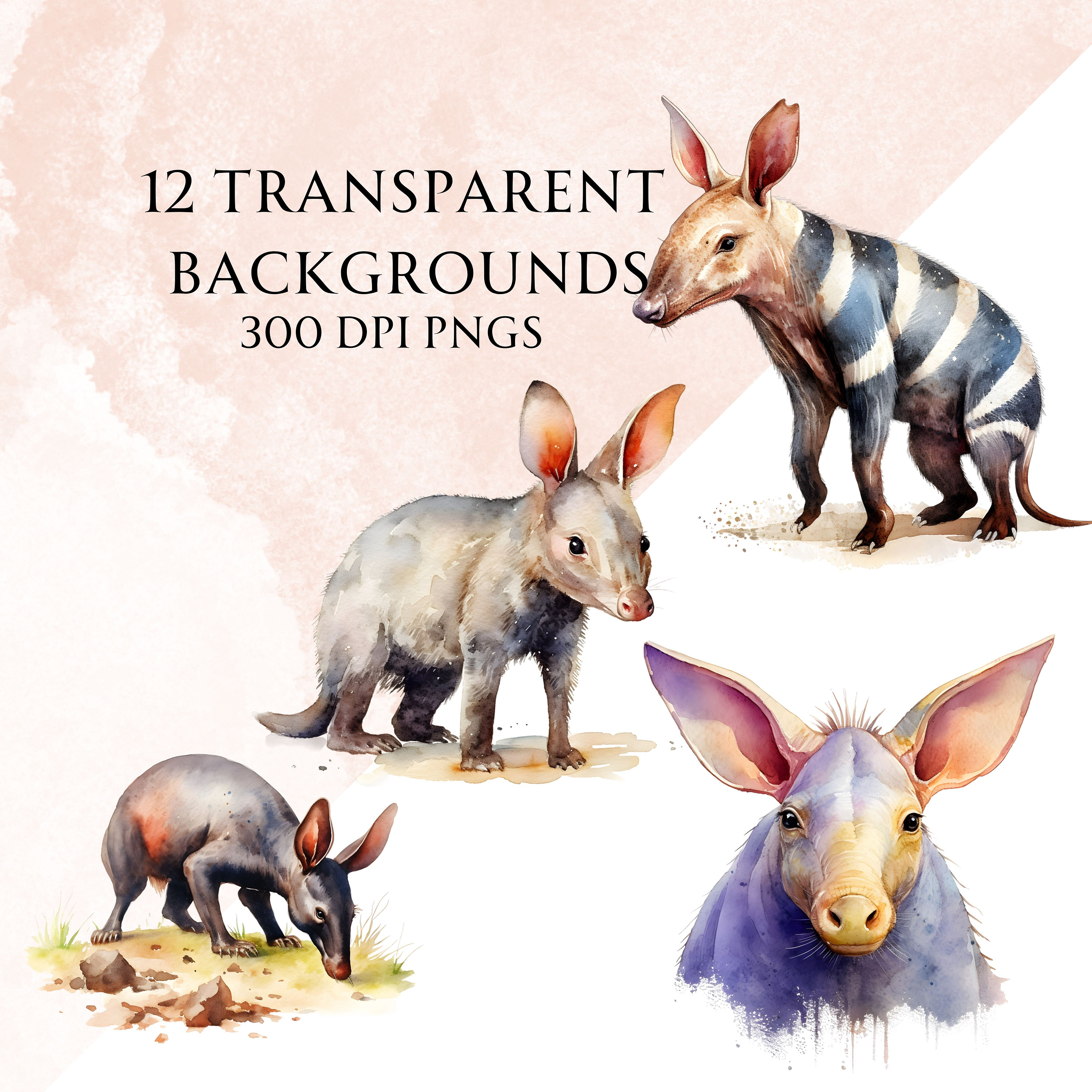 Watercolor Aardvark Clipart PNG Bundle, Digital Scrapbooking Elements ...