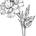 Flowers - an A-Z Coloring Book for All Ages - Etsy