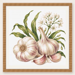 Op de afbeelding: Een ingelijst kruissteek borduurwerk met twee hele knoflookbollen en twee losse teentjes, vergezeld door lange groene bladeren en een trosje kleine witte stervormige bloemen, gevat in een lichtbruine houten lijst.