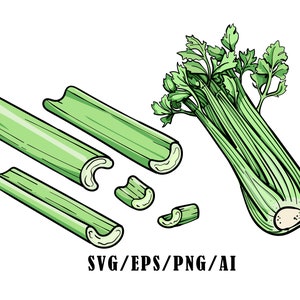 May include: Illustration of fresh celery stalks and leaves. The image shows a bunch of celery with green leaves and several cut stalks. The text "SVG/EPS/PNG/AI" is at the bottom.