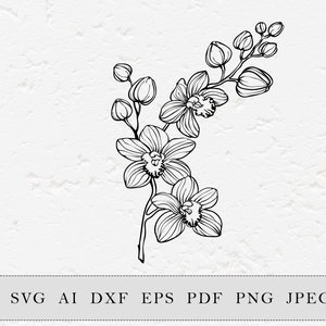 Może przedstawiać: Czarno-biała ilustracja linii gałęzi orchidei z otwartymi kwiatami i pąkami. Obraz jest grafiką wektorową, z formatami plików wymienionymi poniżej: SVG AI DXF EPS PDF PNG JPEG.