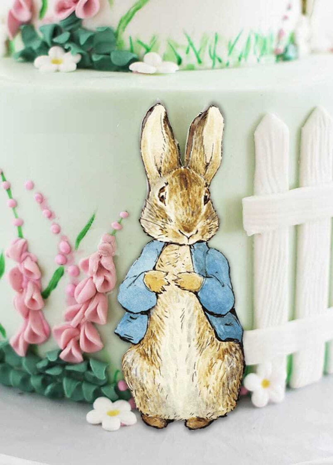 Peter Rabbit Cake Topper Edible Icing Image Cut Out Decal Decoration ...
