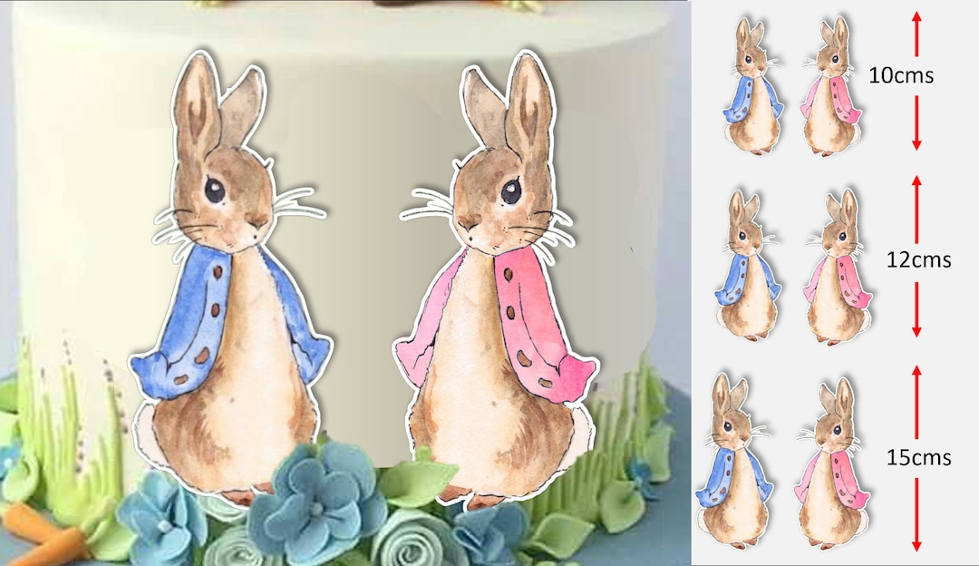 Peter Rabbit Flopsy Edible Icing Cake Topper Image Decal Cut Out ...