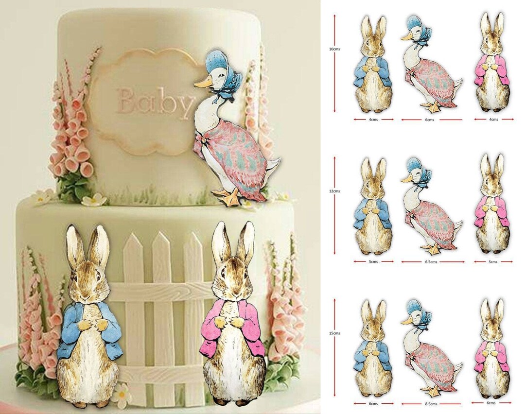 Peter Rabbit Flopsy & Jemima Duck Edible Icing Pre-cut Cake Topper ...