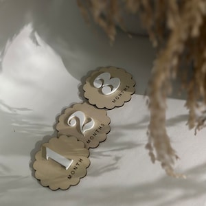 Plaques d'étape mensuelles pour pétoncles