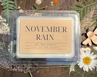 Fall mixed matched wax melts