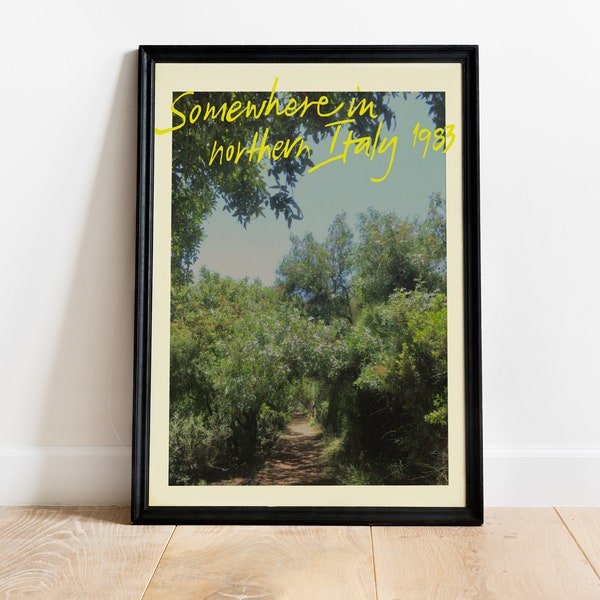 Call Me By Your Name Movie Poster, Wall Art, Canvas, Framed Poster