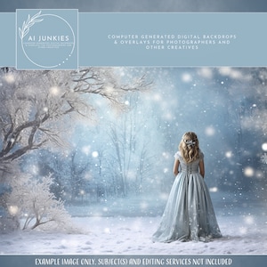 Winter Wonderland Digital Background, Portrait Photography Composites, Holiday Backdrop, Photo Manipulation, Image Compositions