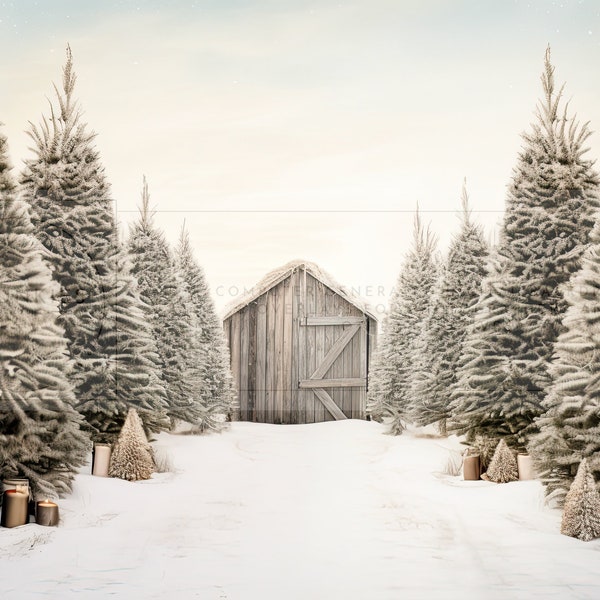 Christmas Tree Farm Digital Backdrop for Composite Photographers,  Background Template, Festive Image Compositions, Winter Scene Landscape