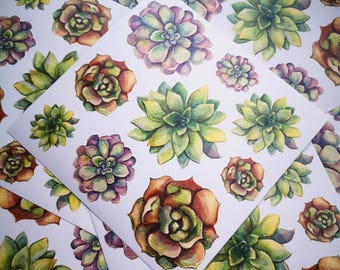 Watercolor Succulent Sticker Sheet: Handmade Journal Planner Decals