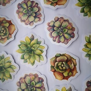 Set van 3 grote aquarelstickers | Sappige stickers | Gestanste sticker | Dagboek decoratie planten | Scrapbooken