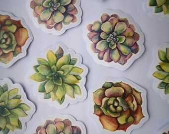 Watercolor Succulent Stickers | Journal, Laptop Decals - Set of 3