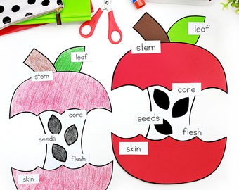 May include: Two paper apple cutouts, one red and one pink, with the parts of an apple labeled: leaf, stem, core, seeds, flesh, and skin.