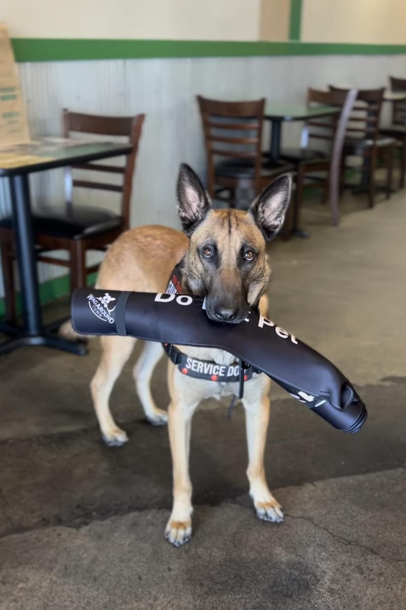 May include: A tan and black Belgian Malinois dog wearing a black harness with the text SERVICE DOG in white letters. The dog is holding a black cylindrical sleeve in its mouth that features the white text DO NOT PET and a logo with a dog icon.