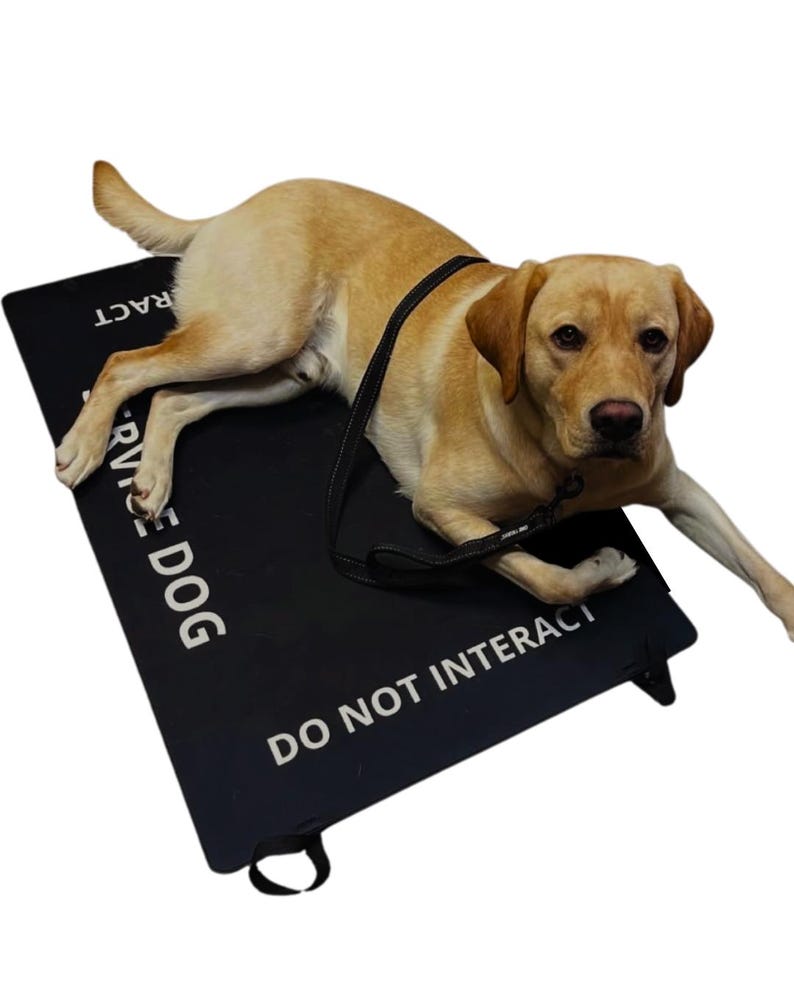 May include: A yellow Labrador retriever lying on a rectangular black mat. The mat features white text that reads SERVICE DOG and DO NOT INTERACT. The dog is wearing a black harness with a leash attached, resting on the mat surface.